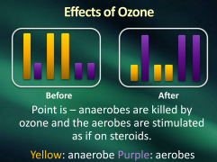 effects of ozone