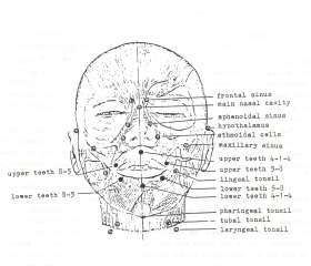 Figure 5: The Main Organic Measuring Points