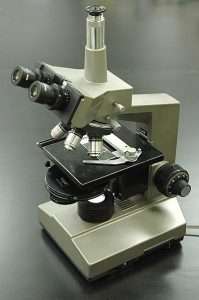 phase contrast microscope