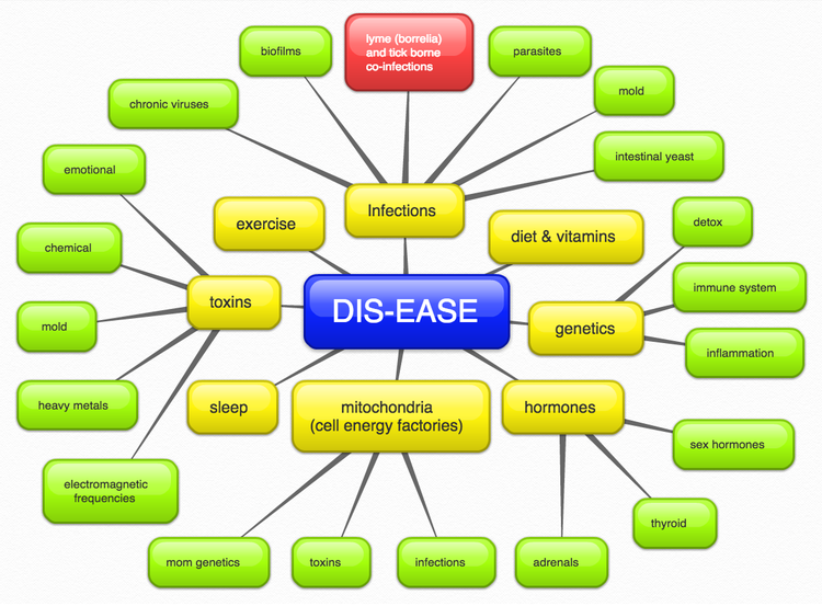 whole health diagram