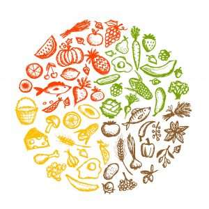 color circle of foods