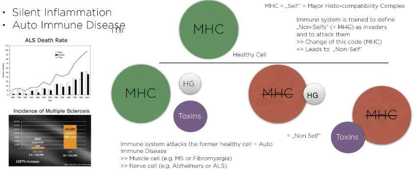 diagram of autoimmune disease